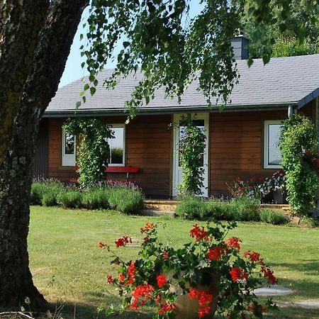 Le Chalet A Bonnerue Houffalize Room photo